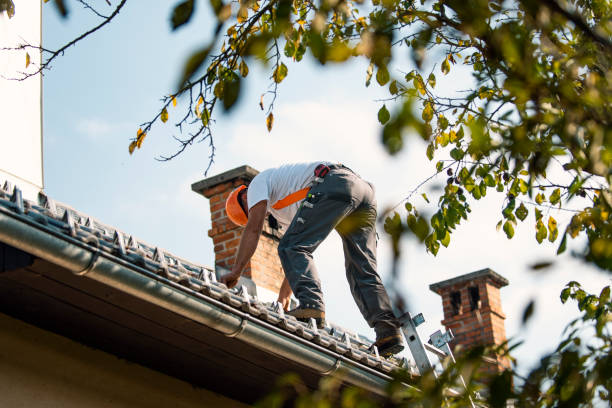 Best Tile Roofing Contractor  in Estero, FL